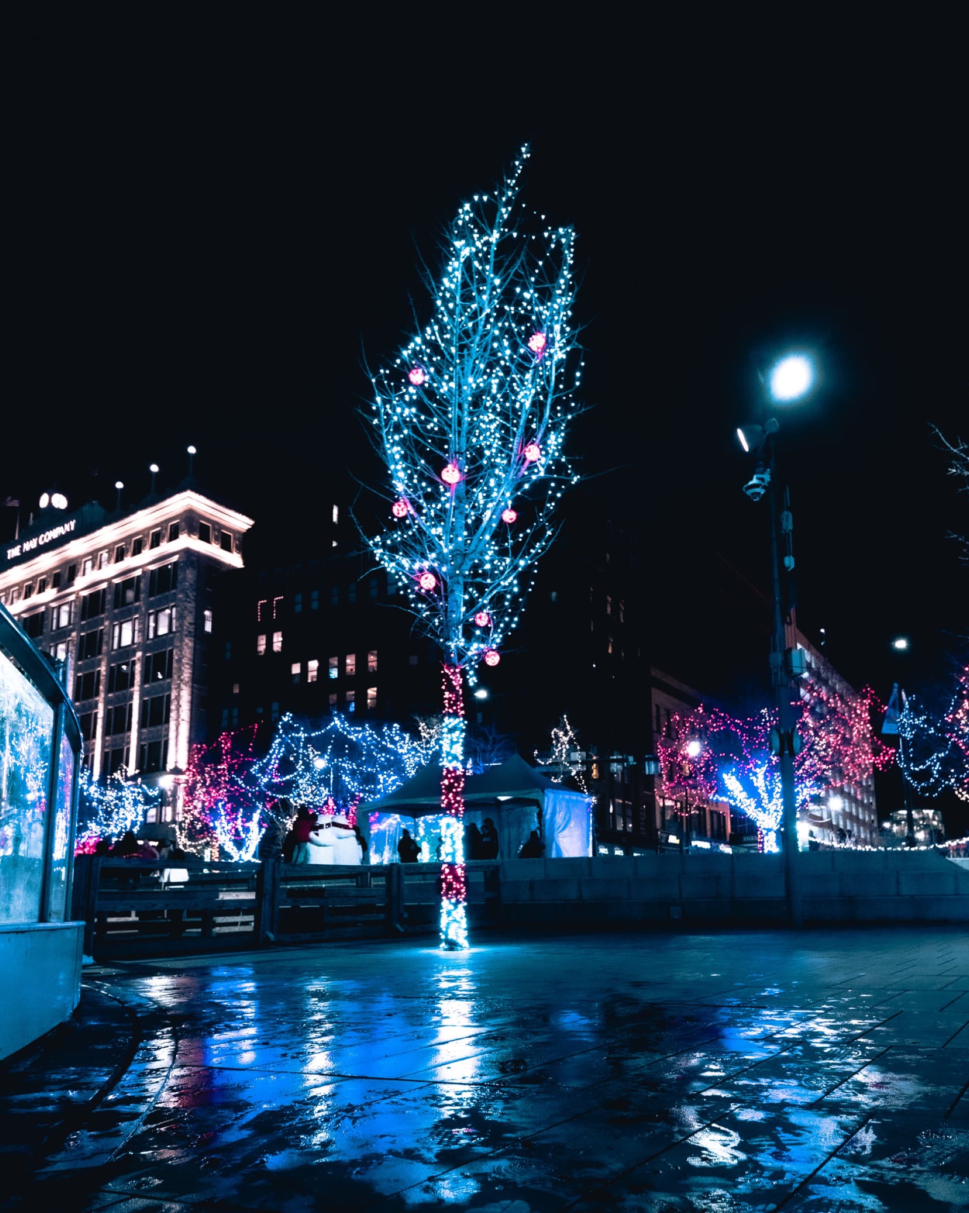 Album image 12