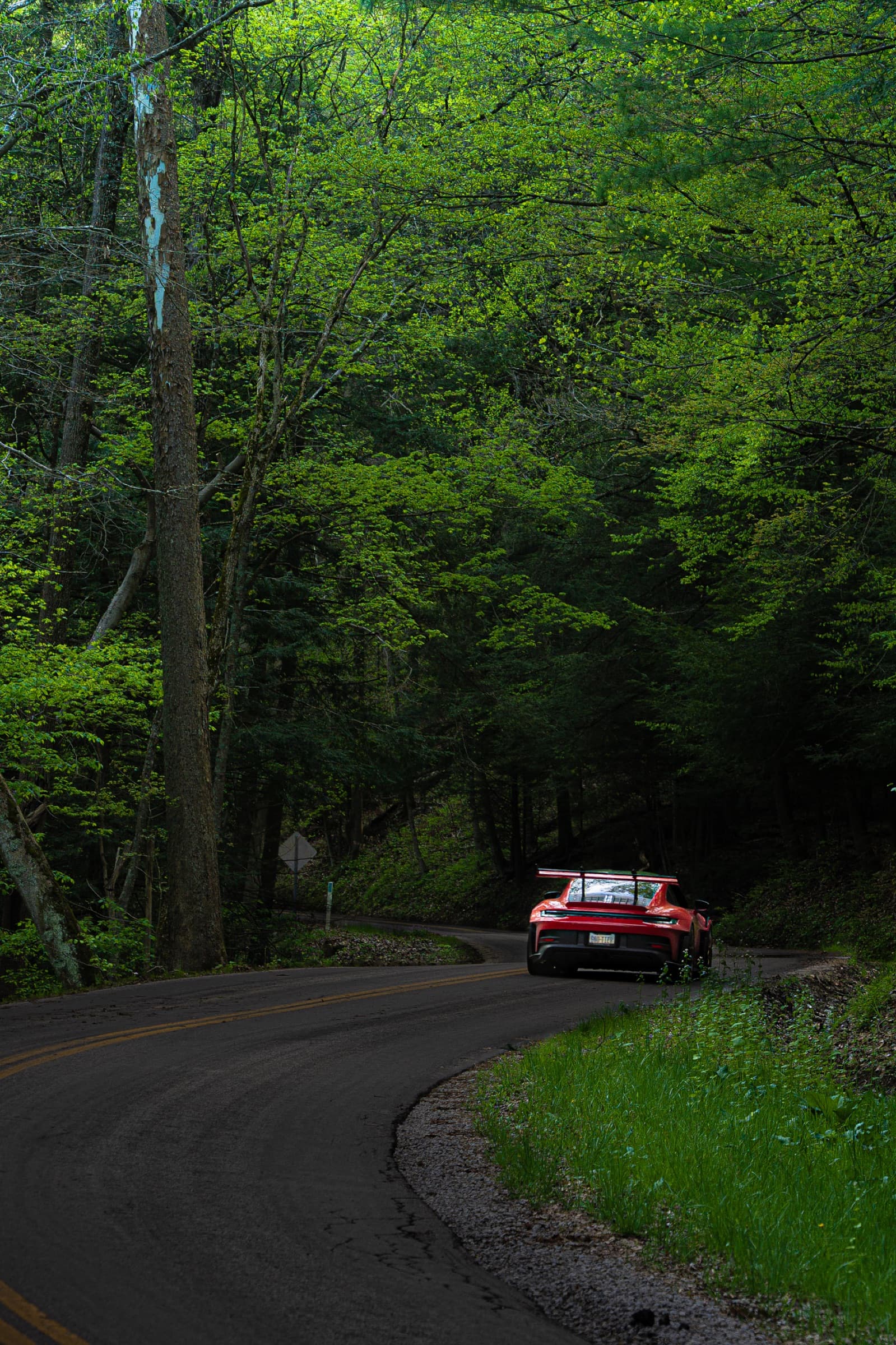 Album image 11