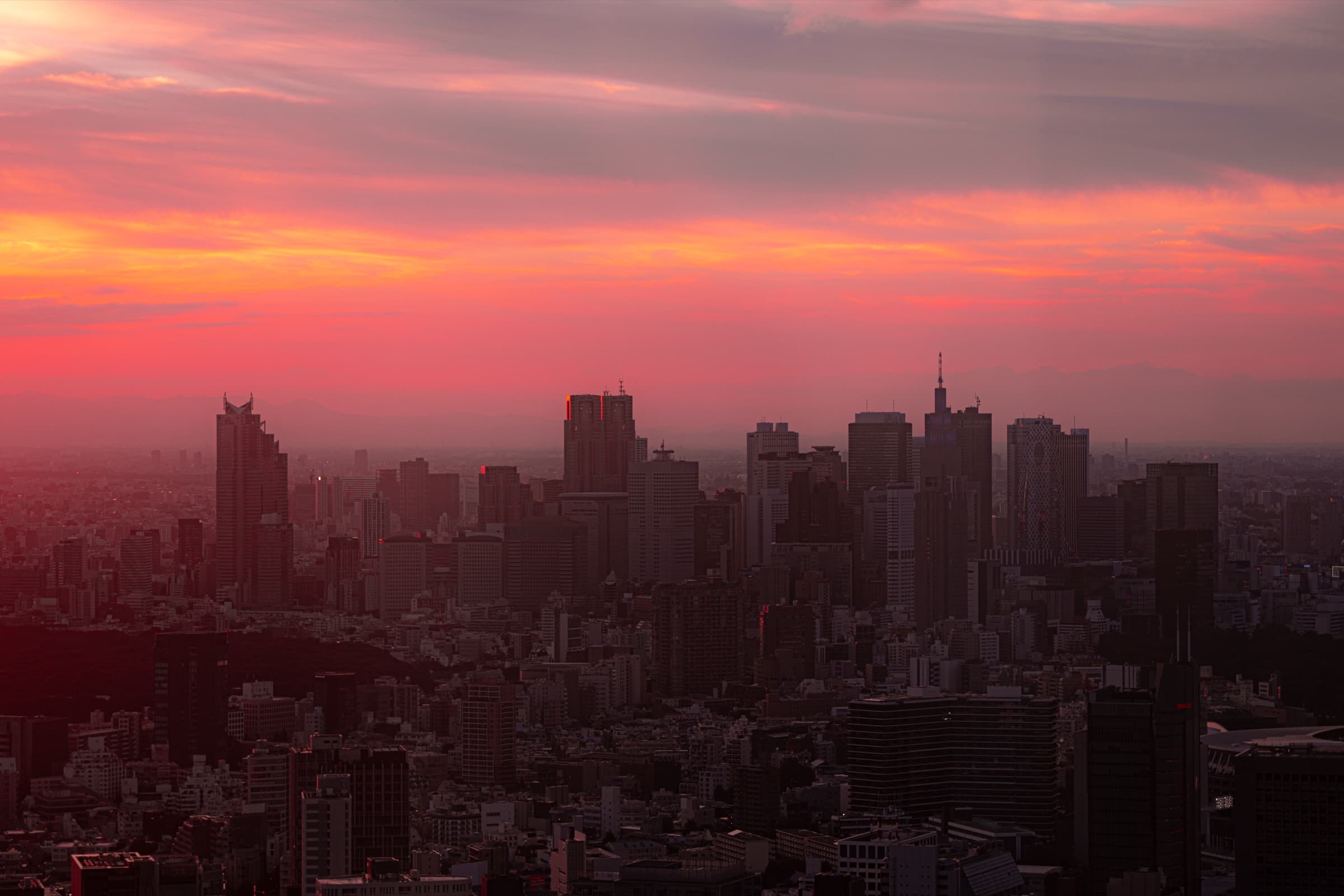 Album image 4