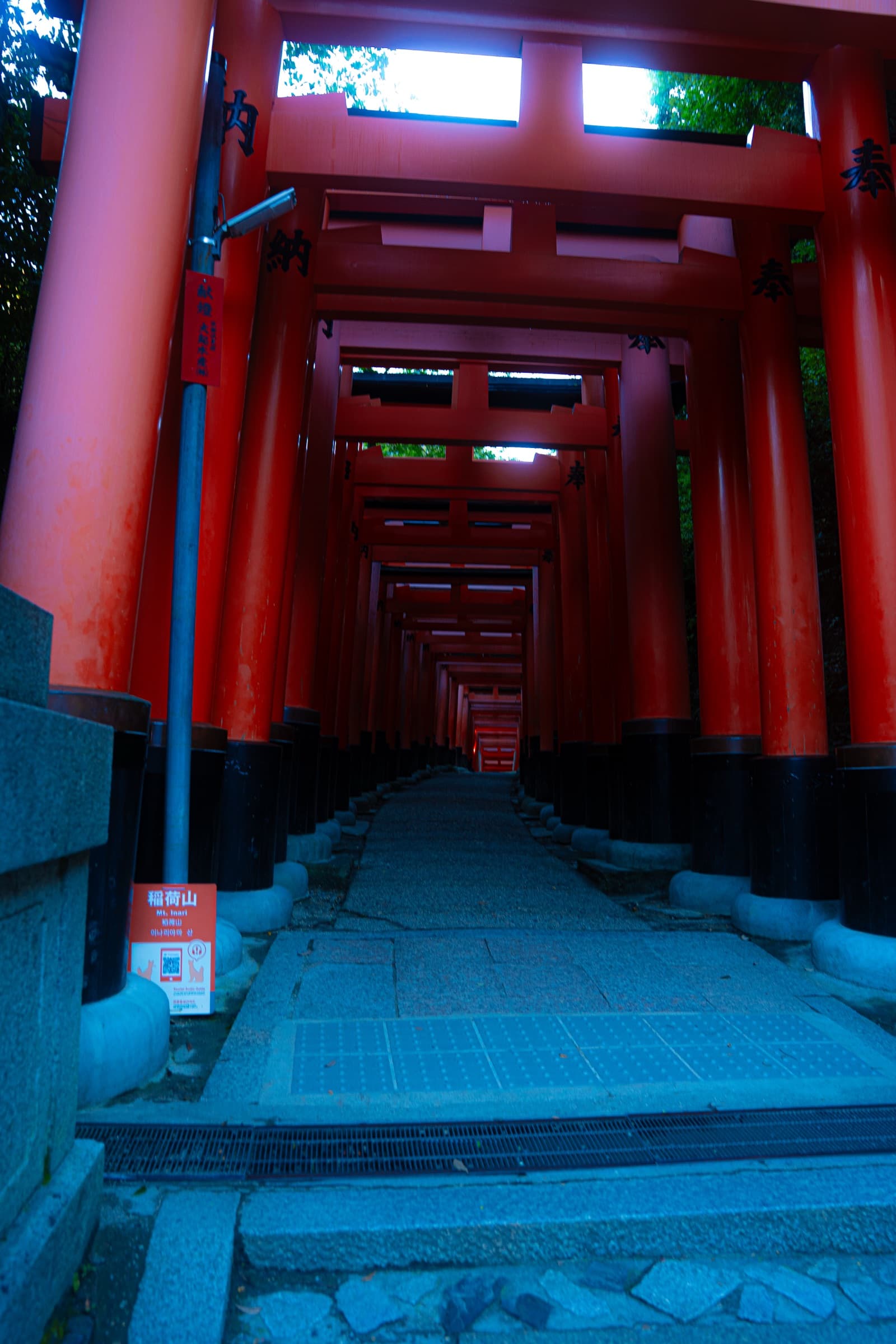 Album image 32