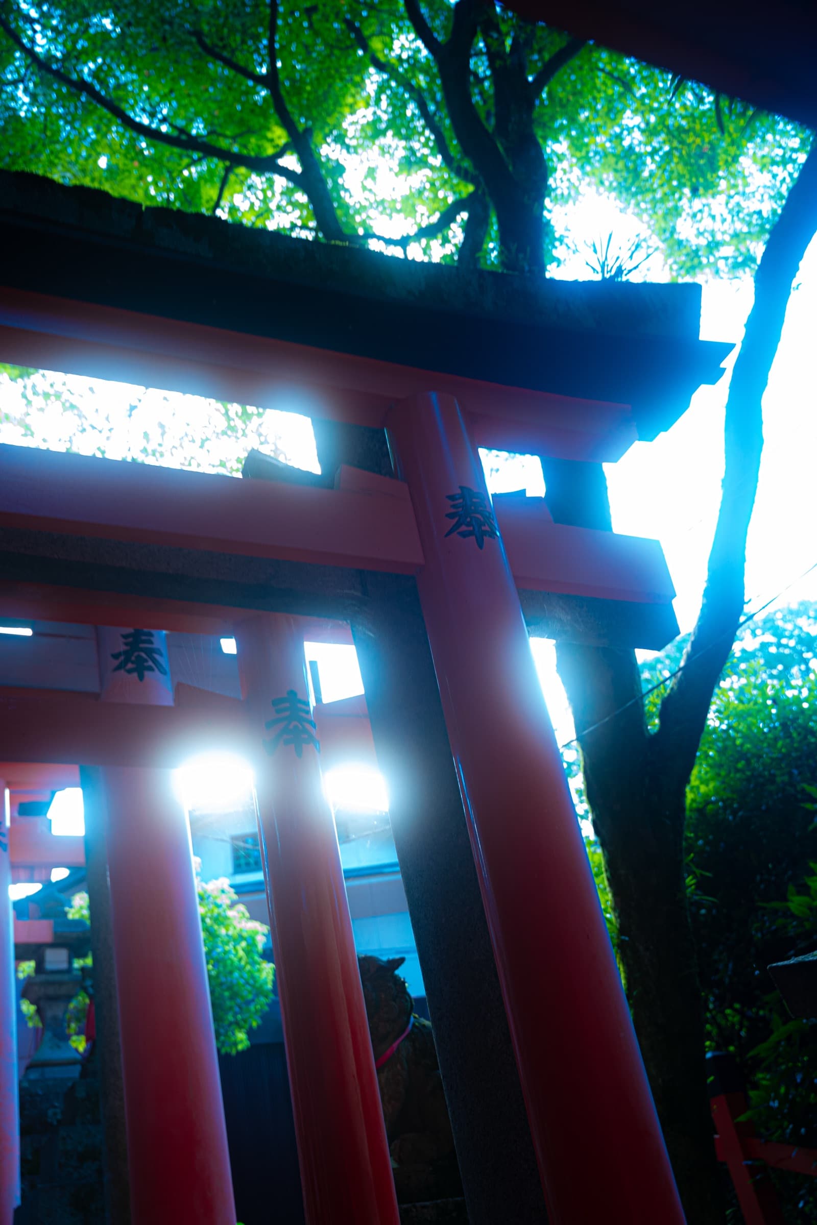 Album image 35