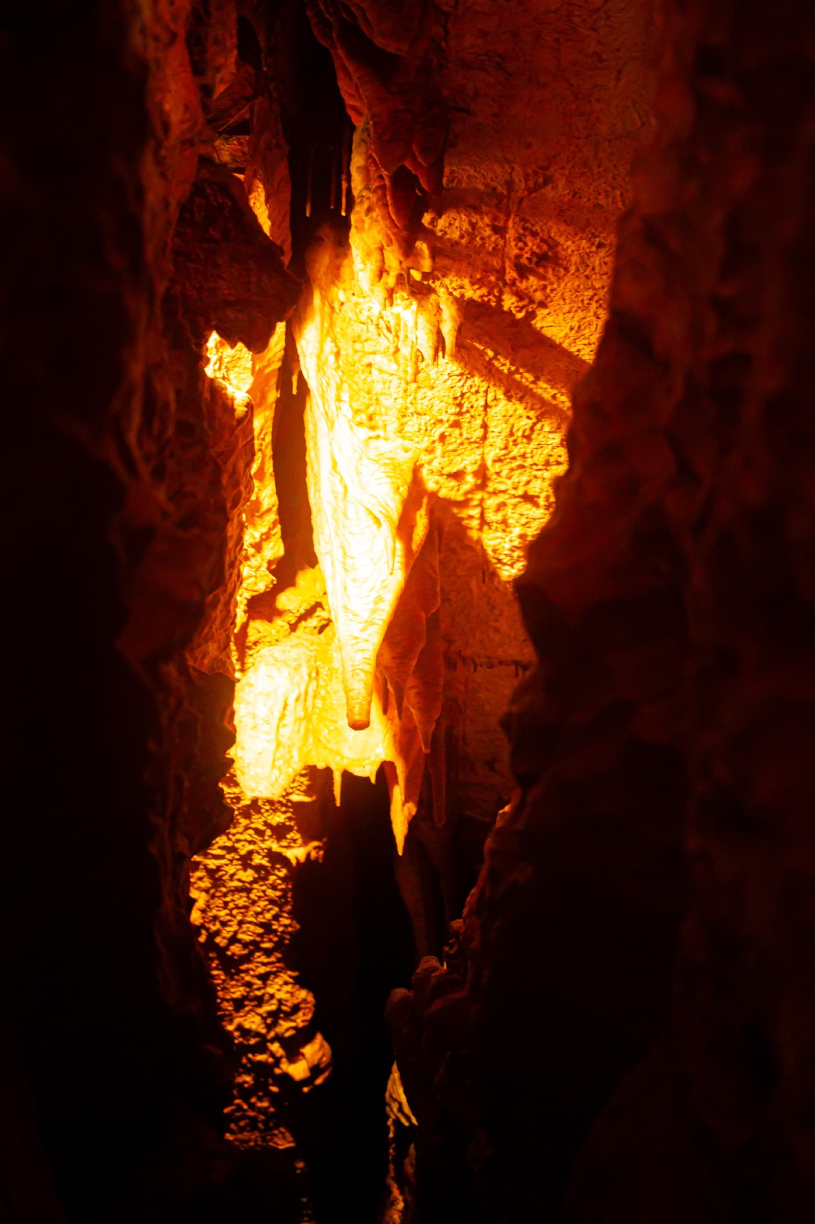 Album image 3