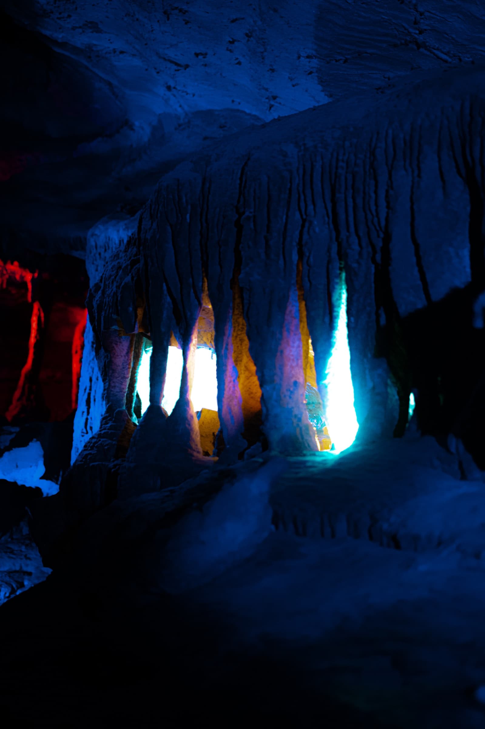Album image 5