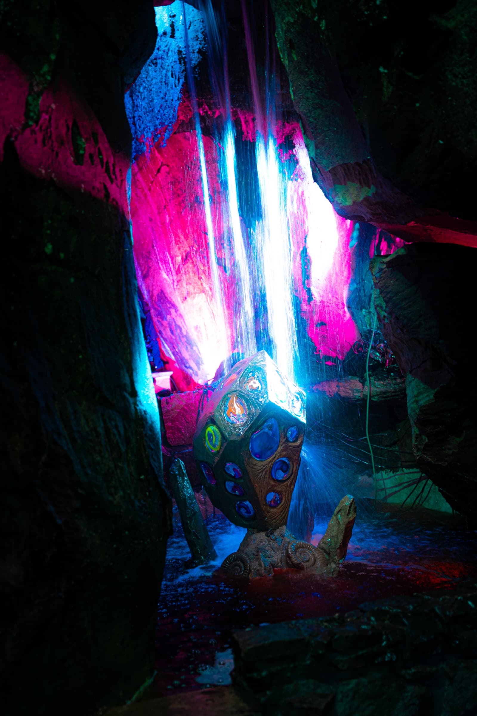 Album image 10