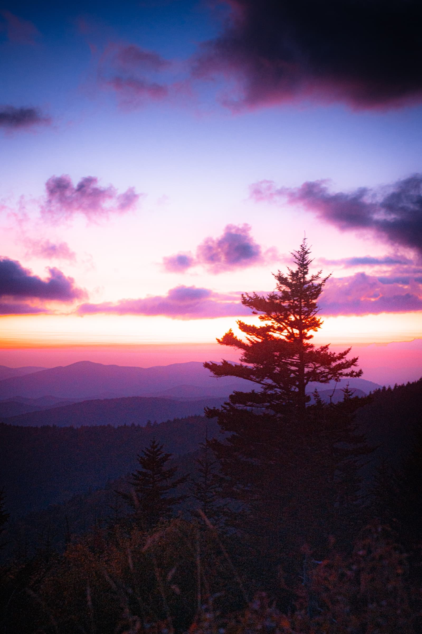 Album image 5