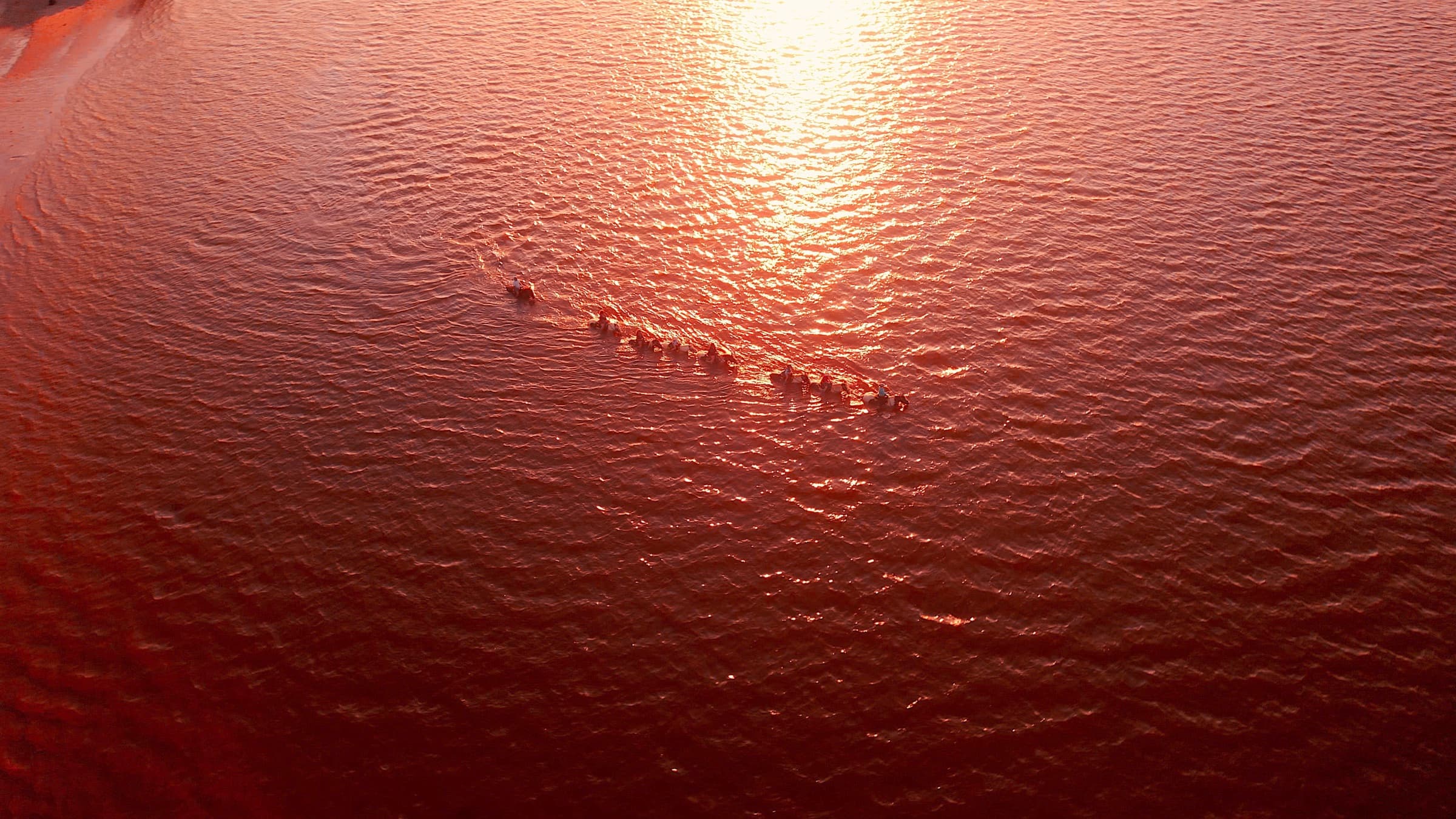 Album image 4